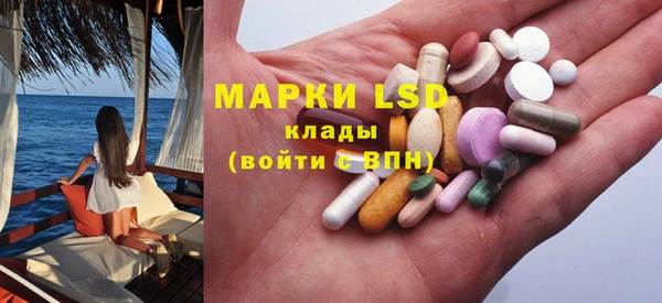 крисы Алзамай