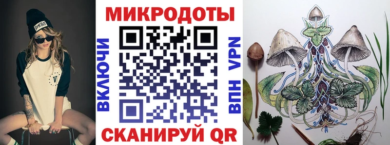 магазин    Осинники  Галлюциногенные грибы Cubensis 