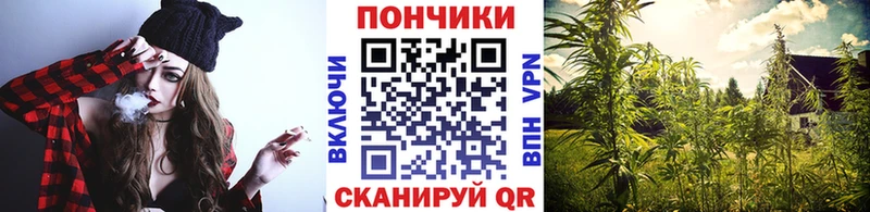 Бошки Шишки SATIVA & INDICA где купить Осинники